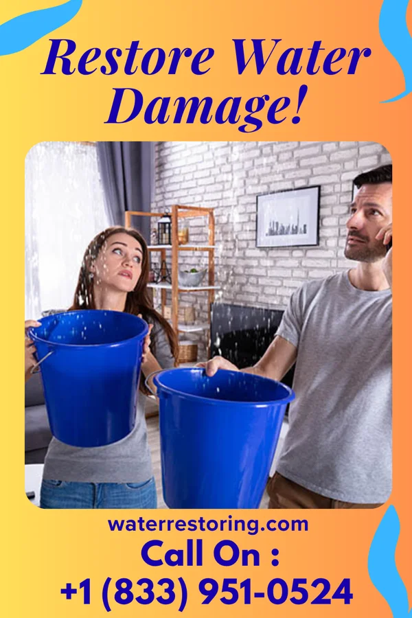 water restoration Pro Flood Cleanup Services Denton