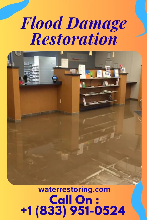 Flood Damage Restoration in Denton, NE