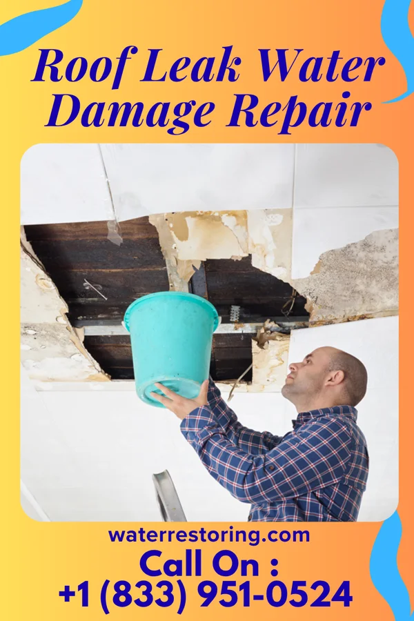 Roof Leak Water Damage Repair in Denton, NE