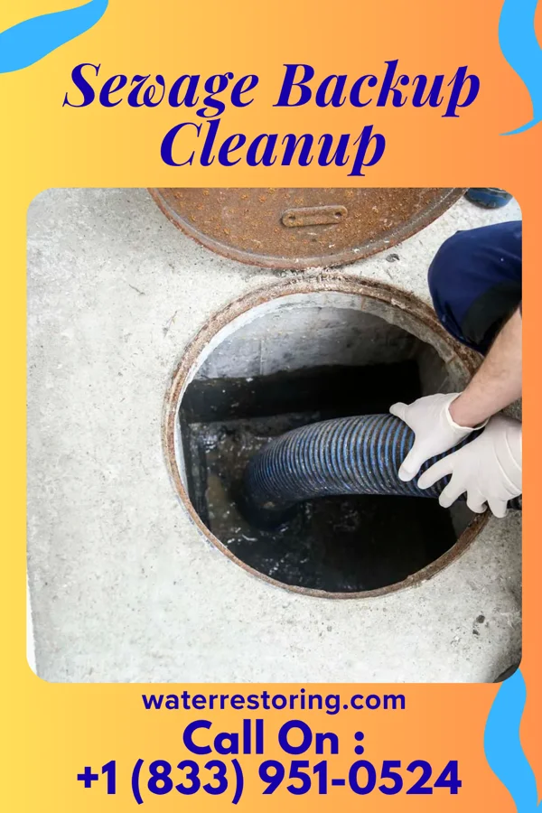 Sewage Backup Cleanup in Denton, NE