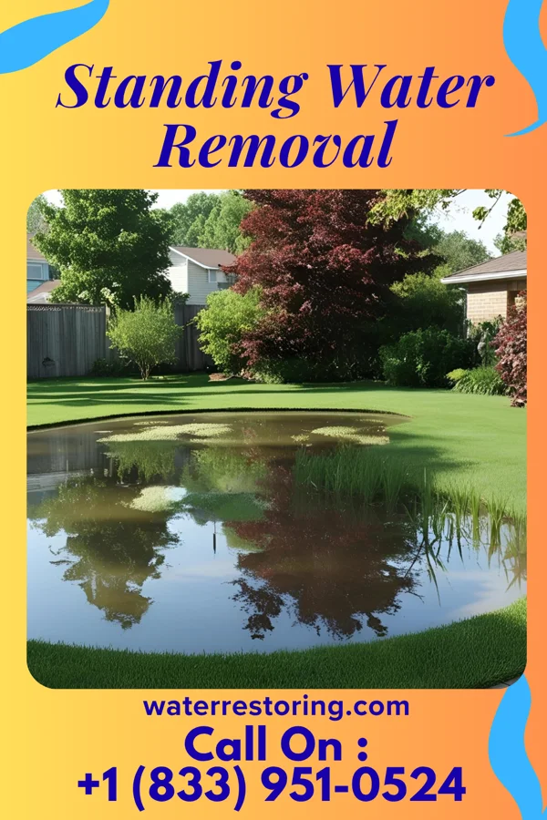 Standing Water Removal in Denton, NE